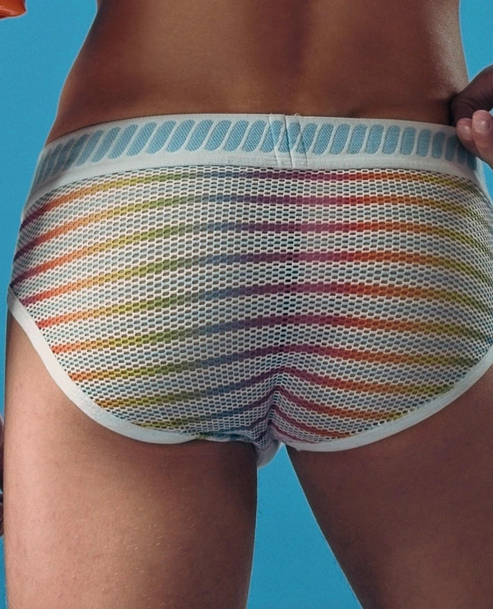 Prism Brief