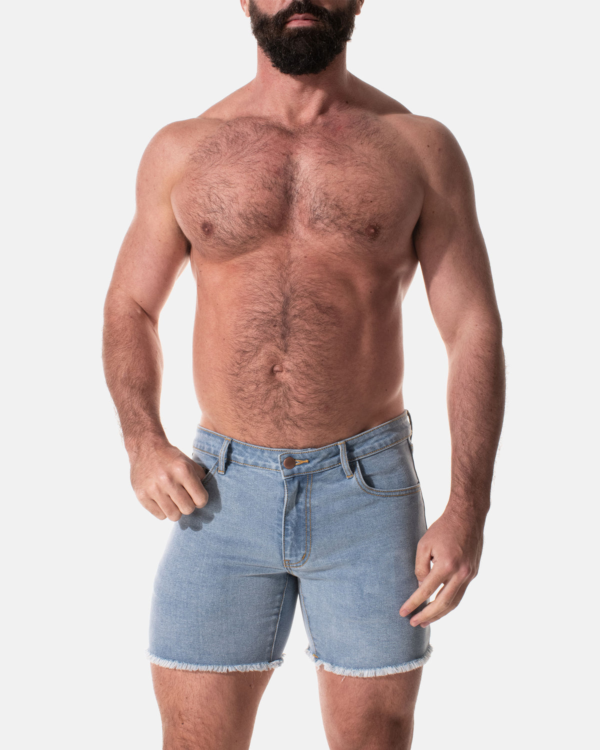 Ithaca Denim Shorts